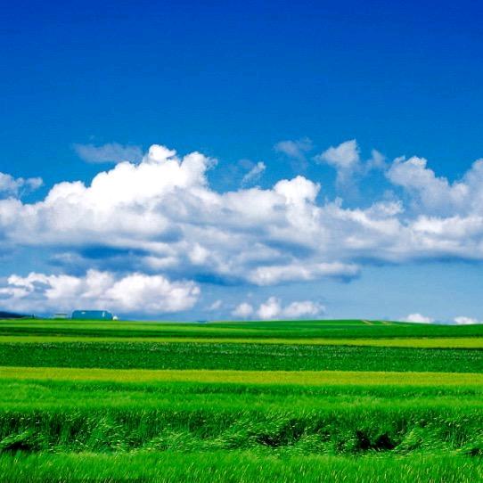 天上下雨，地上滑