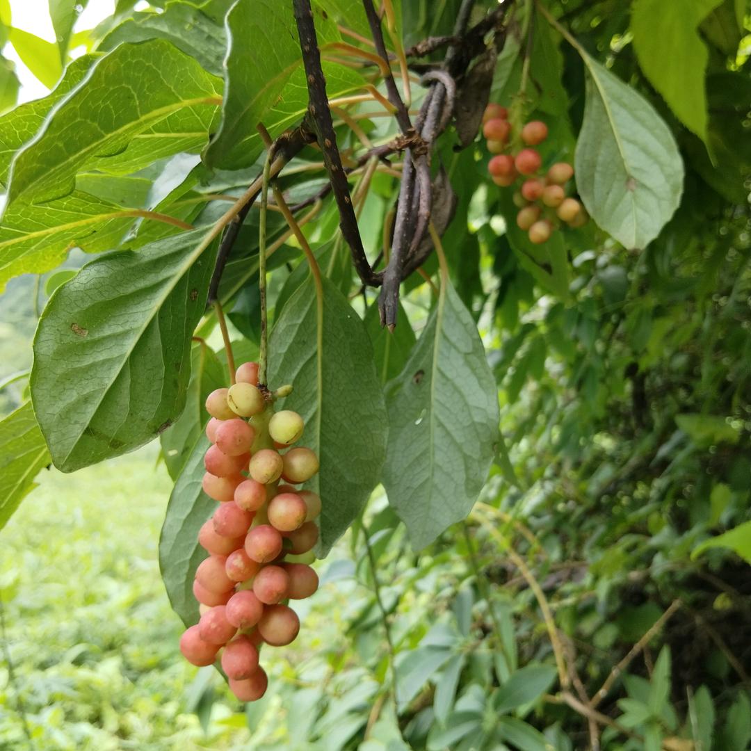 永不止步