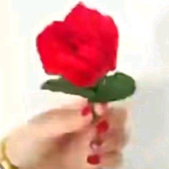 🧚‍♀️心中只有你