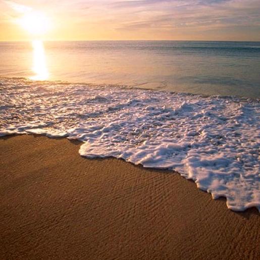 面朝大海