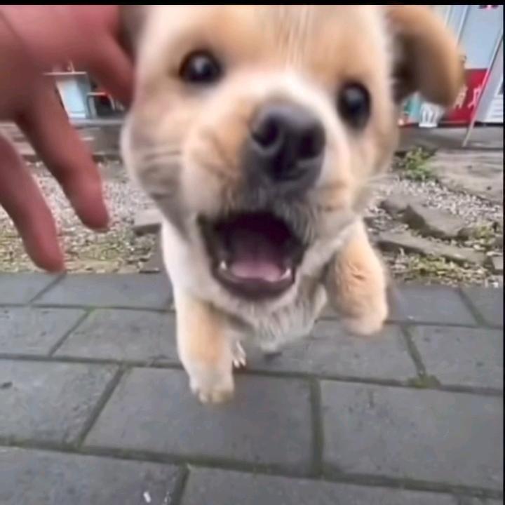 一两分钟热度而已