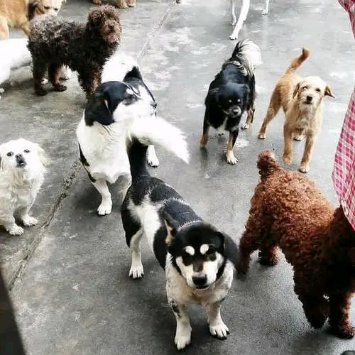 行善积福。