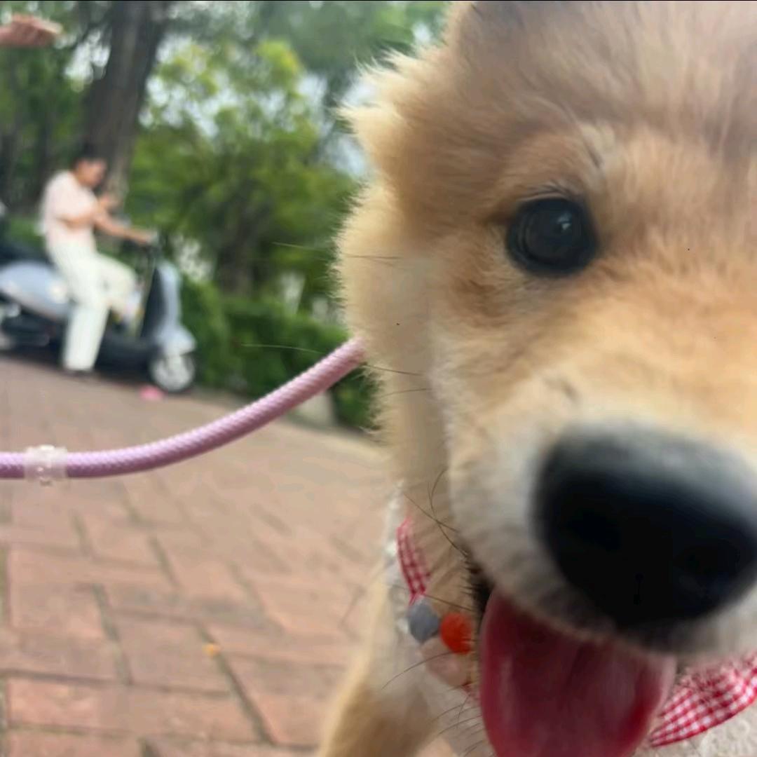 再牛逼的肖邦也弹不出老子的悲伤