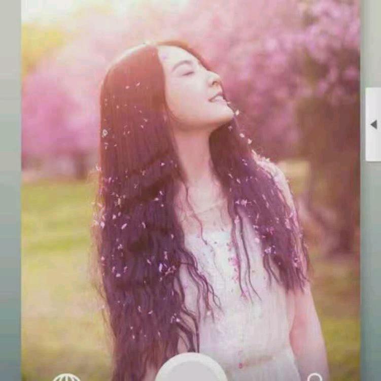 李芹