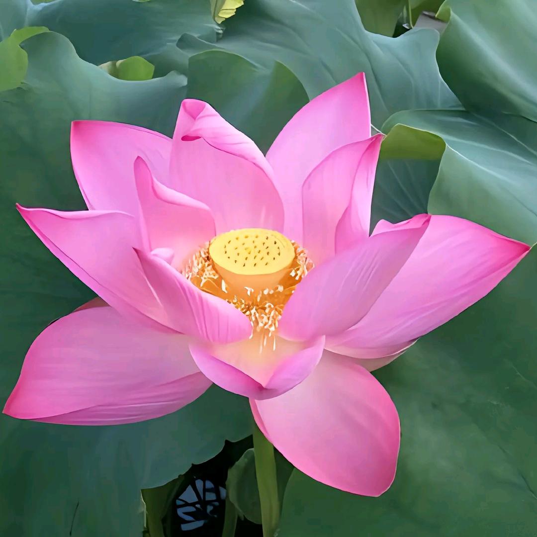 幸福美满