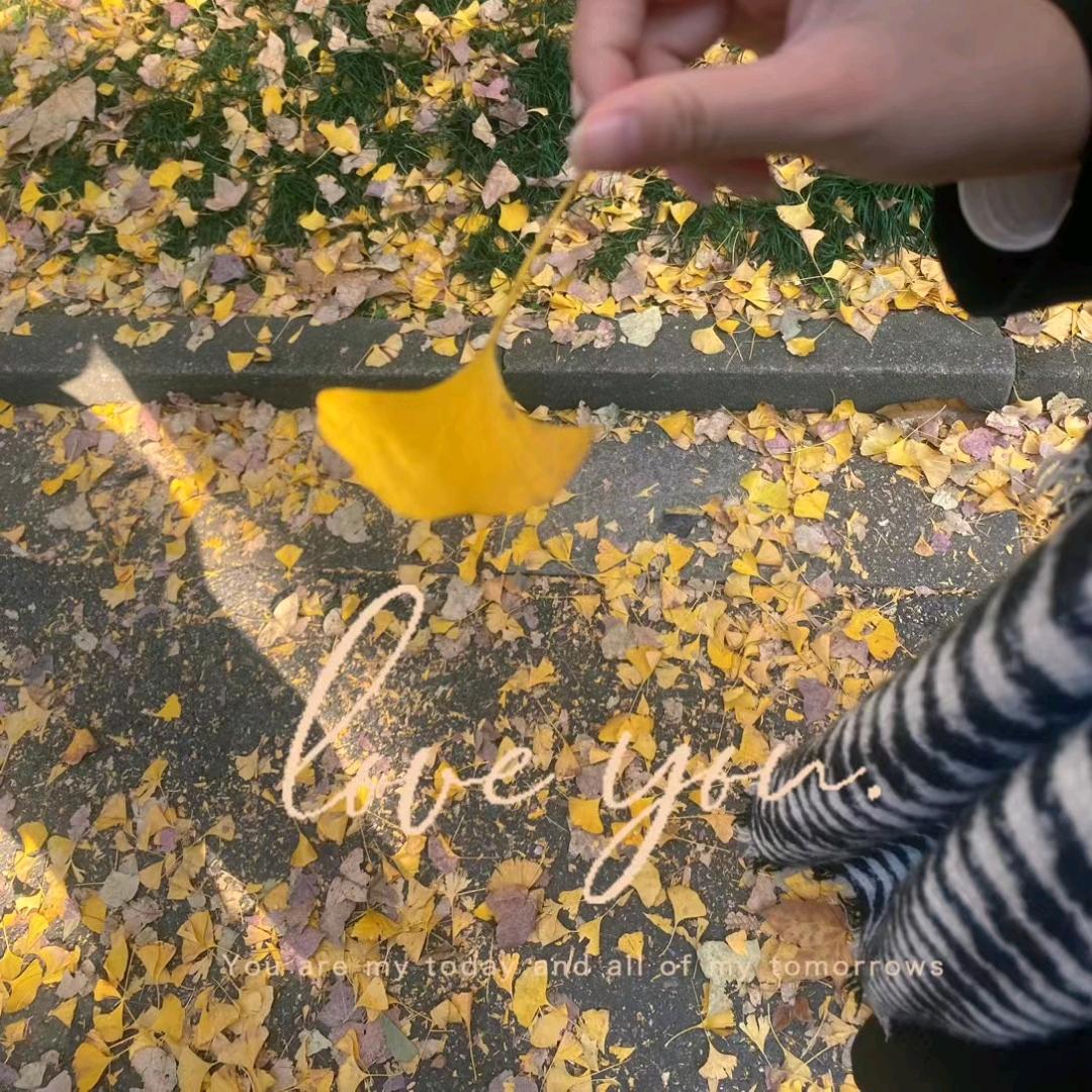 呼呼呼