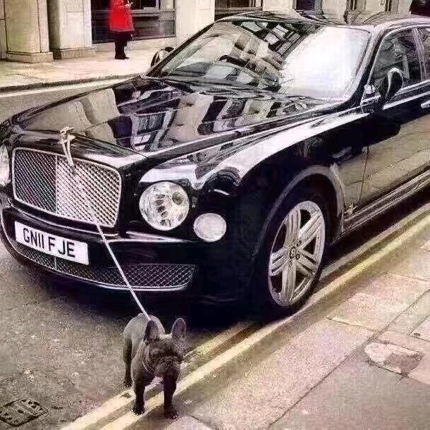 ༒马有才🥷🏻