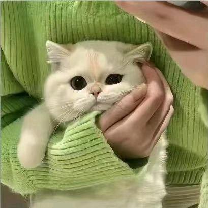 ༄ཉིཾ🌞 拾月 ཉྀ༄