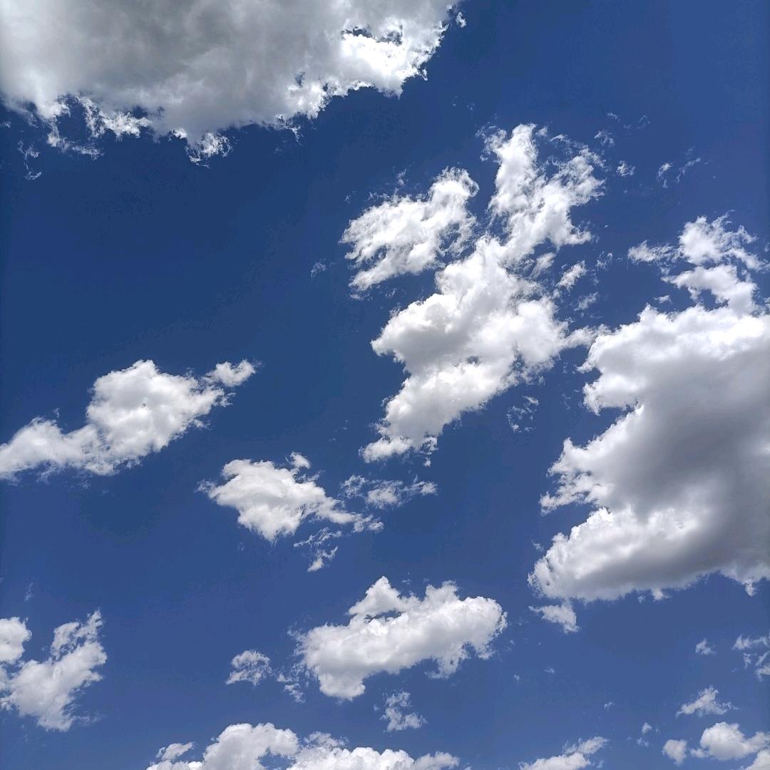 。。。。。。。。