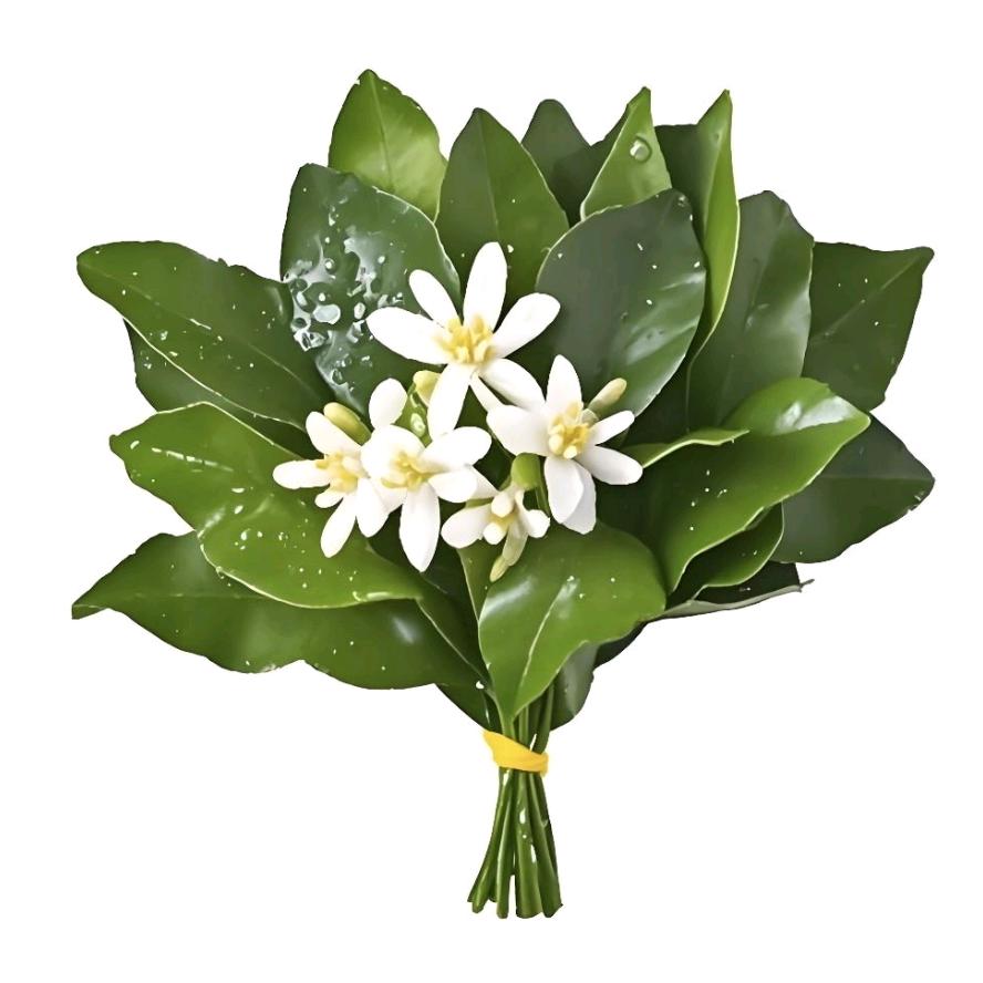 珂遇୧⍤⃝❤️🌈