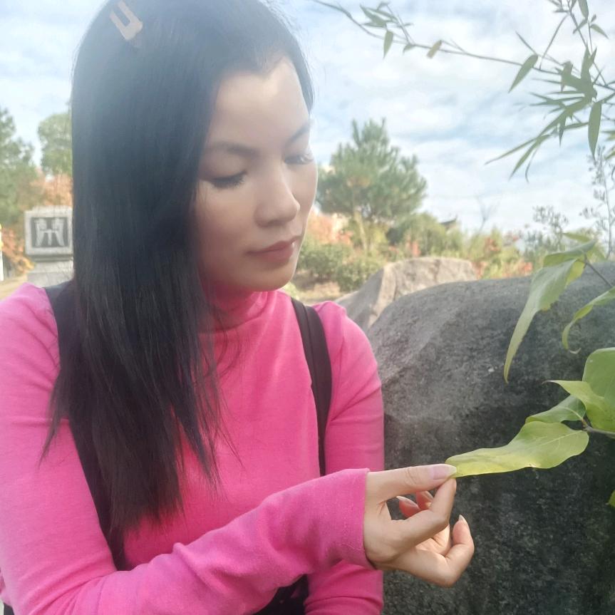 龙欣