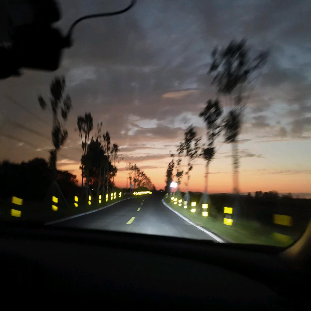 酋长8250（三角洲跑刀鼠）