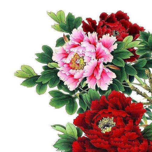 中年人生自有情