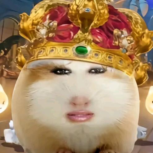 老弟是人机(接稿)