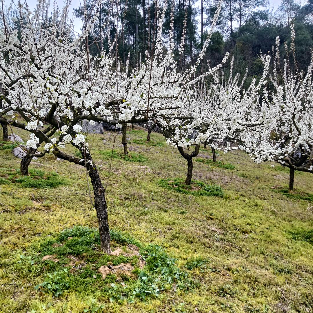 余生为自己而活