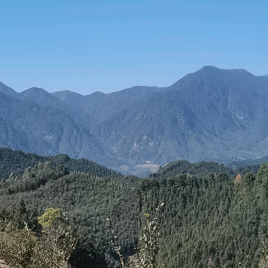 文武