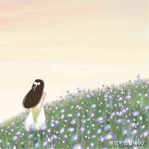 惠惠