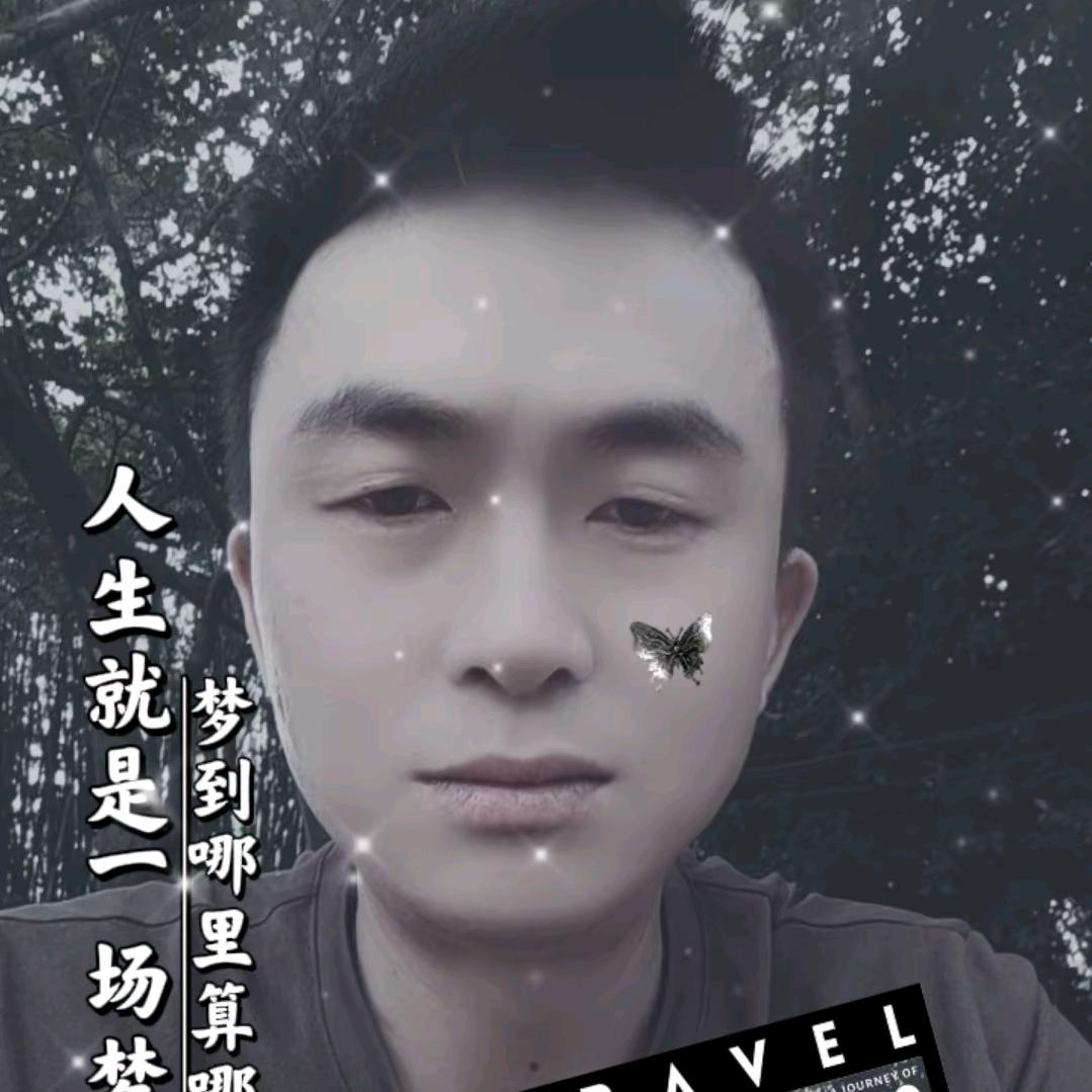 孤独的狼