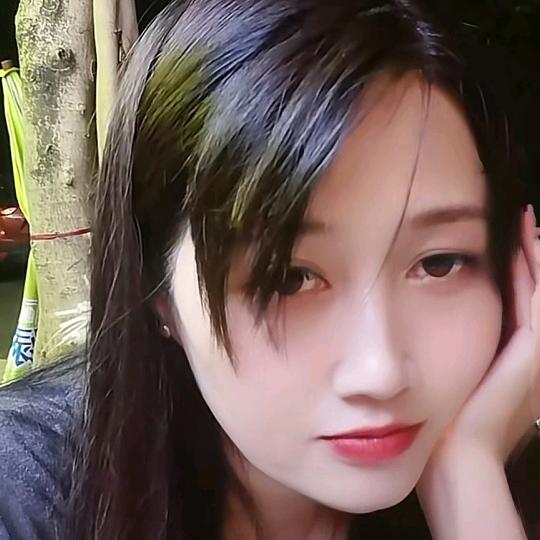 竹林枫