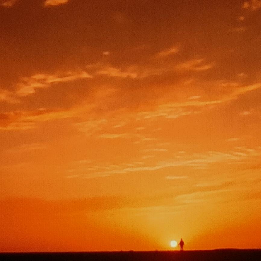 唯独夕阳🌈
