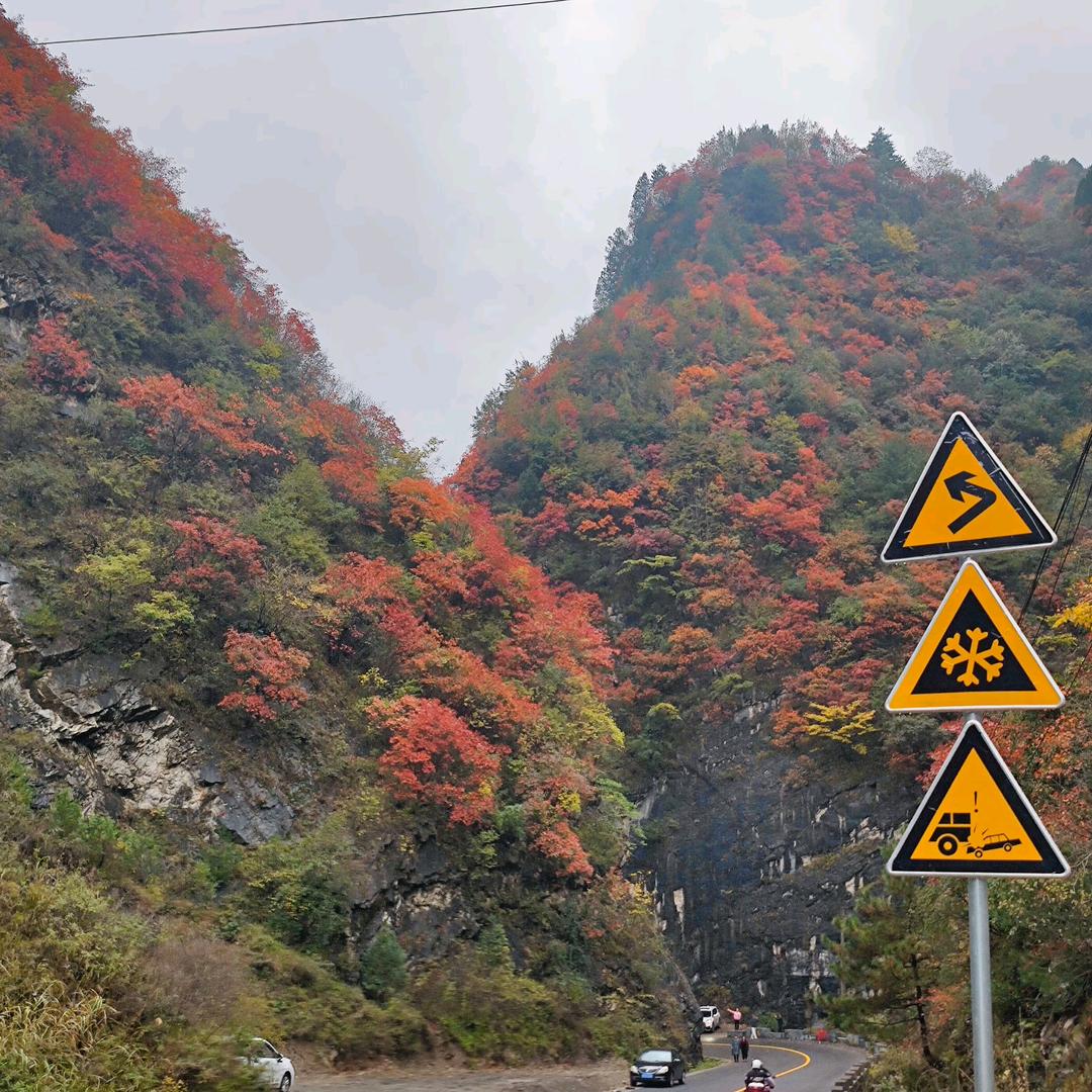 阳光海岸