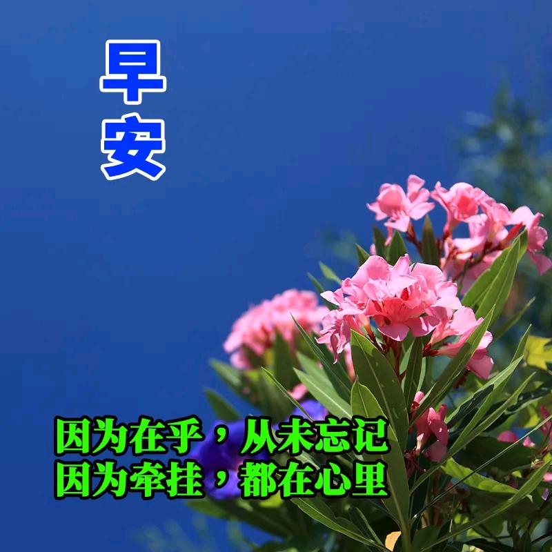 因卫🈶你‼️