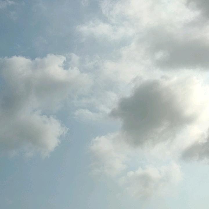 听“哥”唱