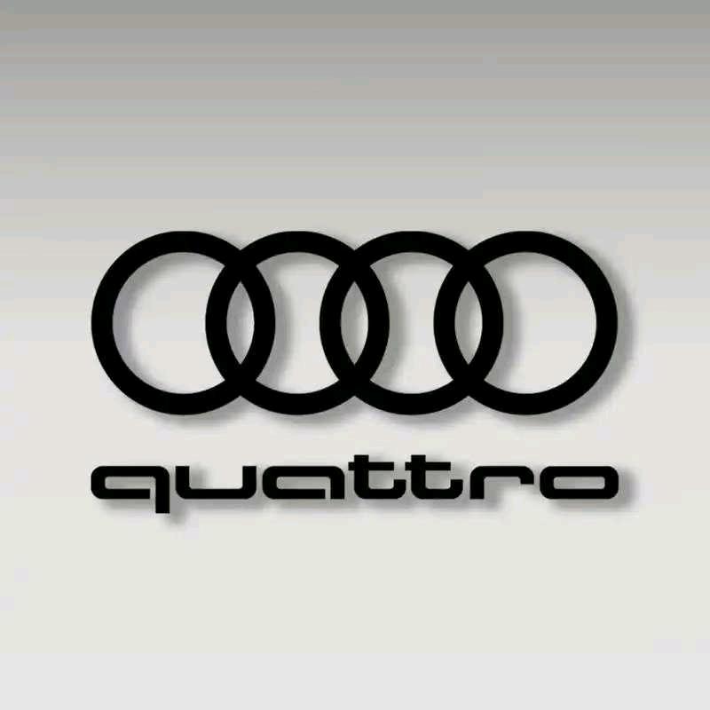 一汽奥迪万帮-喵喵