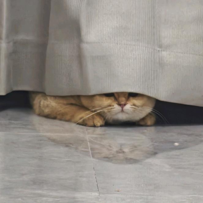 滴滴滴