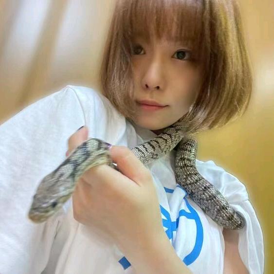 软糯香澄糕