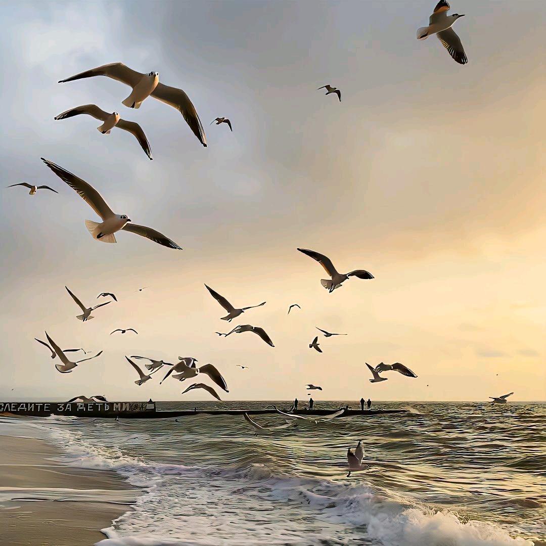 时金不昧好好先生