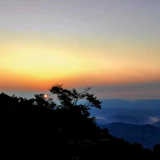 用户3557070072003东方欲晓