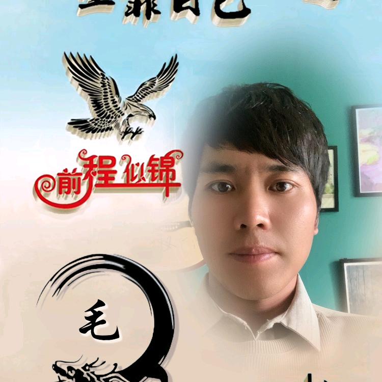 莫C进安