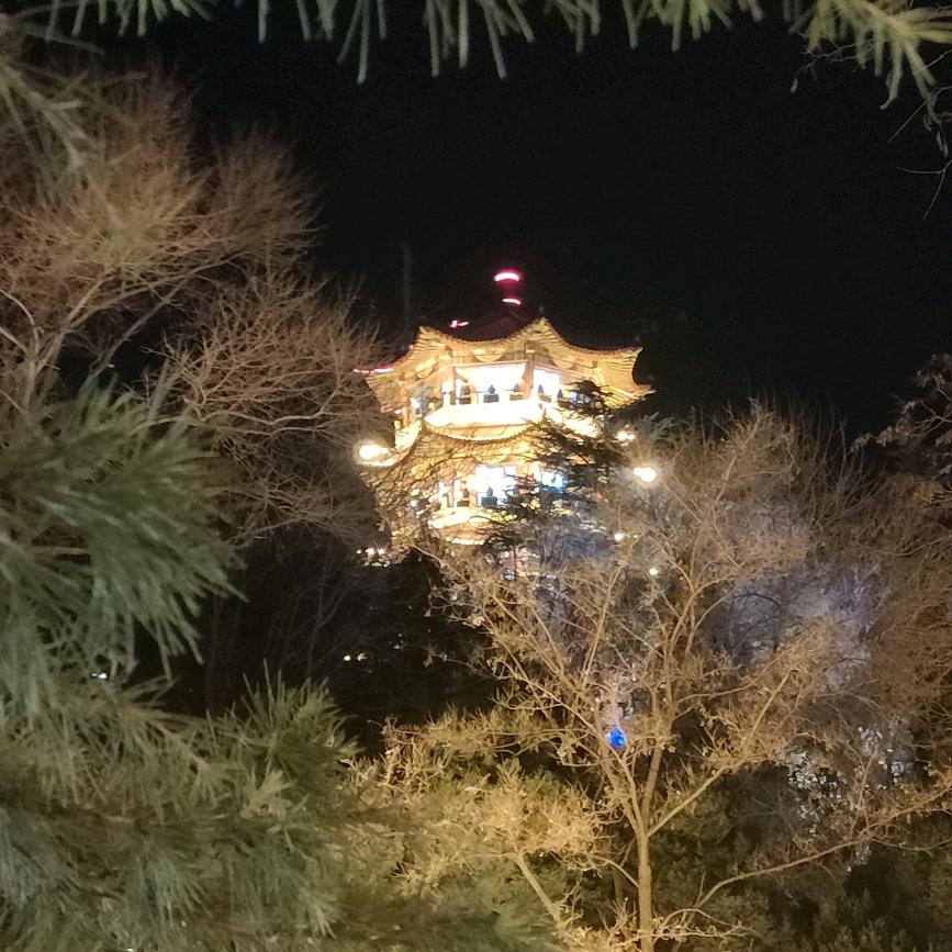 时光瘦了Ծ‸Ծ