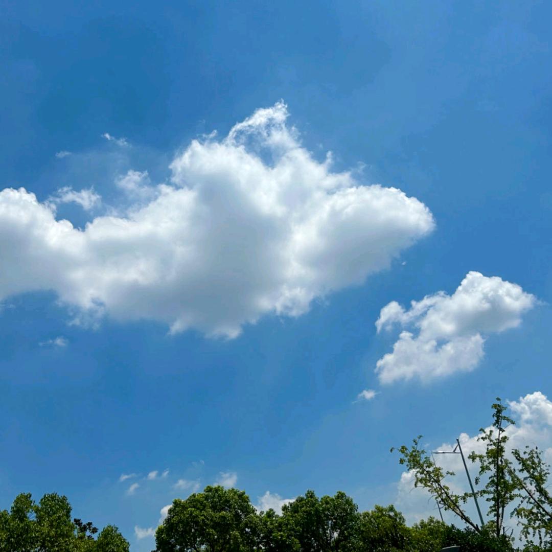鹿在深林
