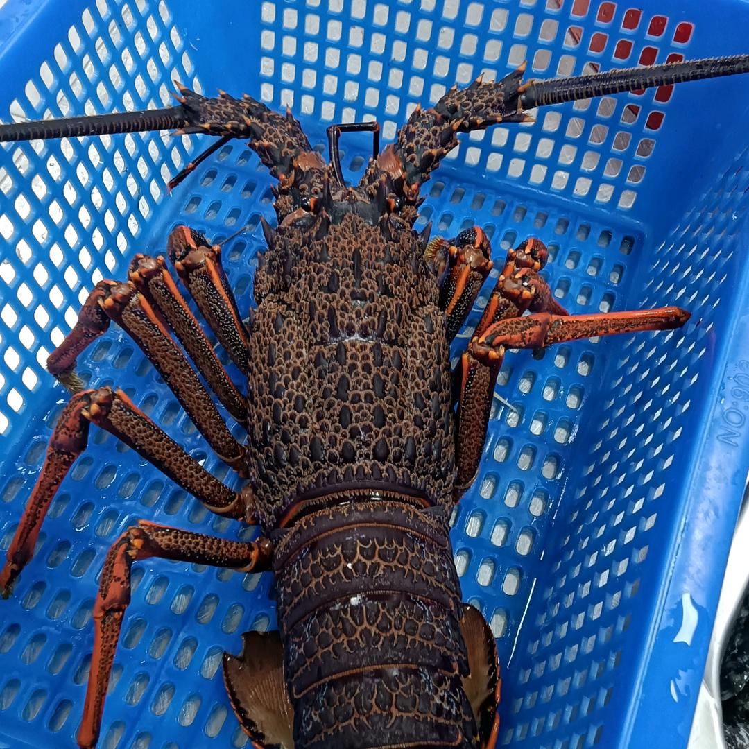 麻辣小龙虾