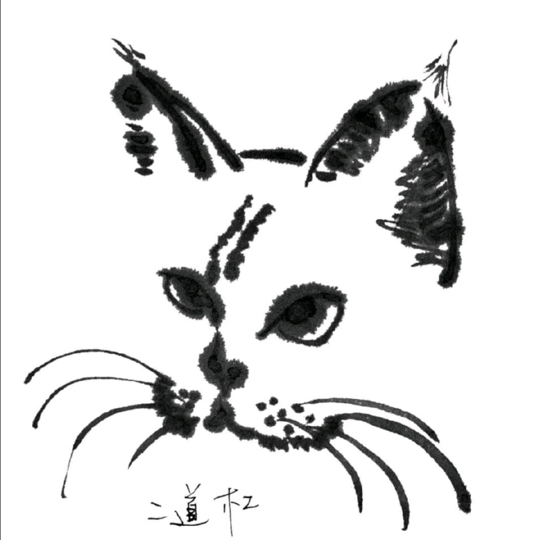 脾气超好！！！