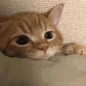 心事