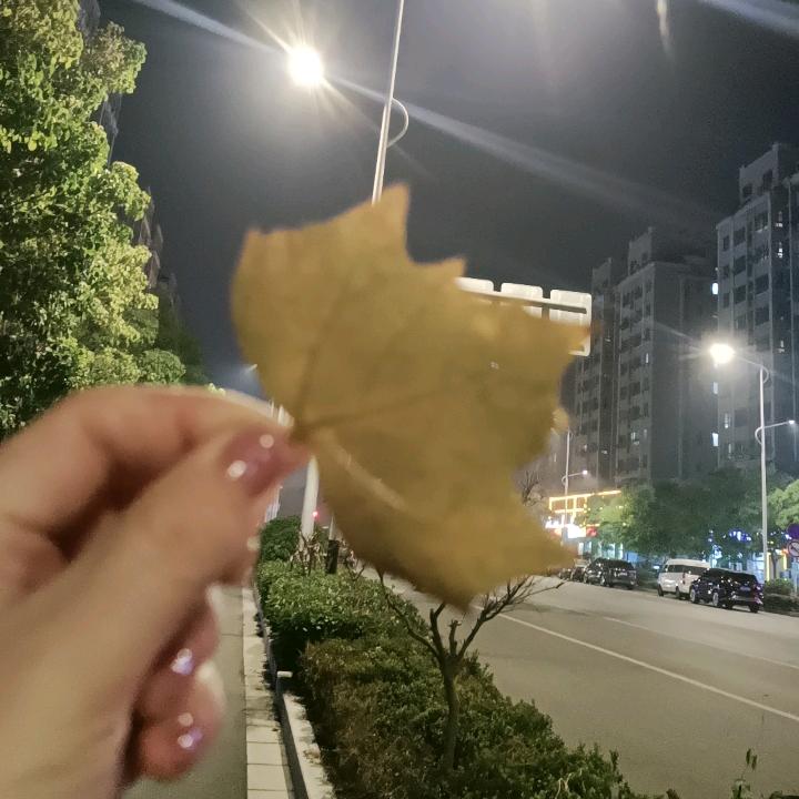 💞珠珠侠💞