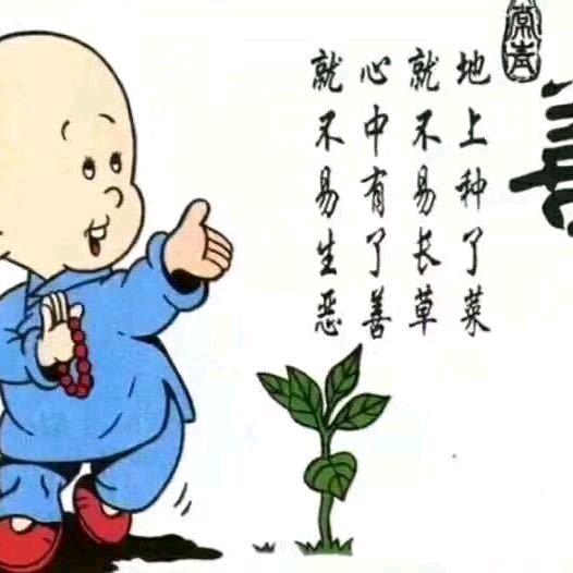 佛缘@