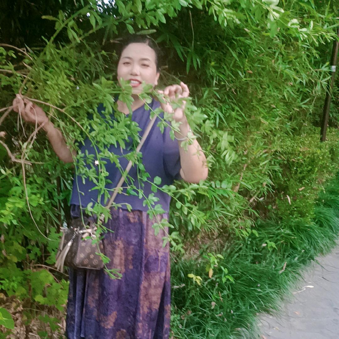 雪花飘飘
