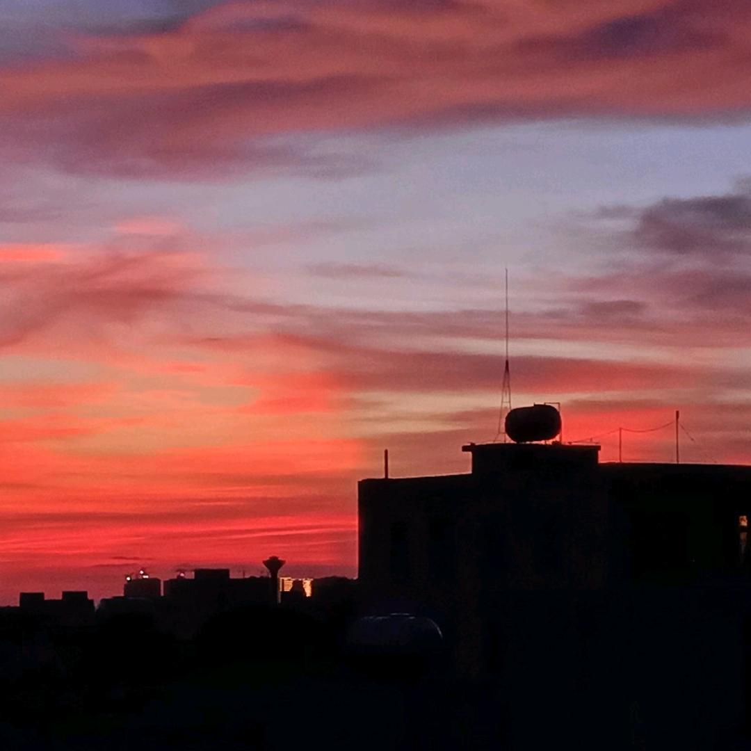 橘子在浇花