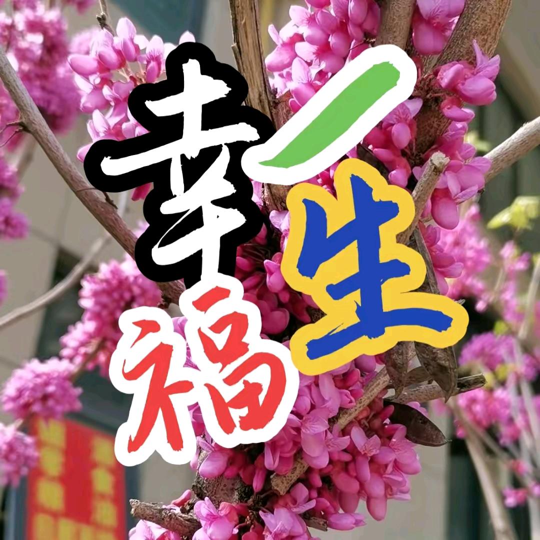 农村大哥