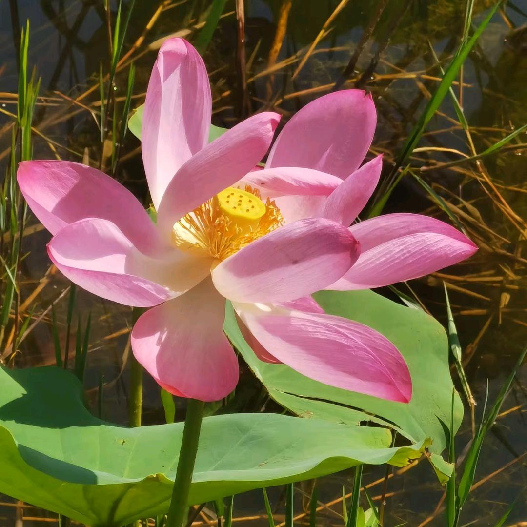 手艺人修面美发头疗养生