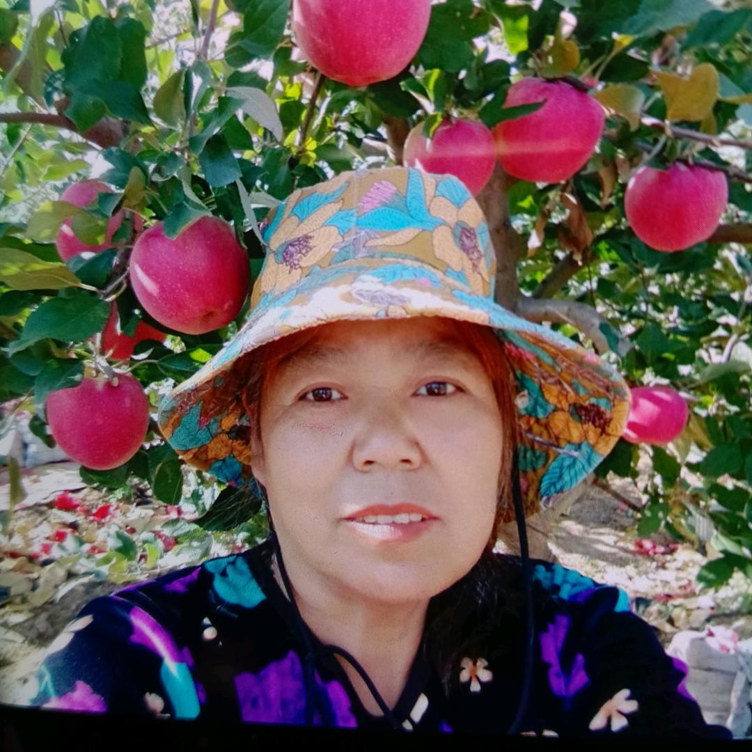 苹果姐,(爱秦腔)晚7点10分开播