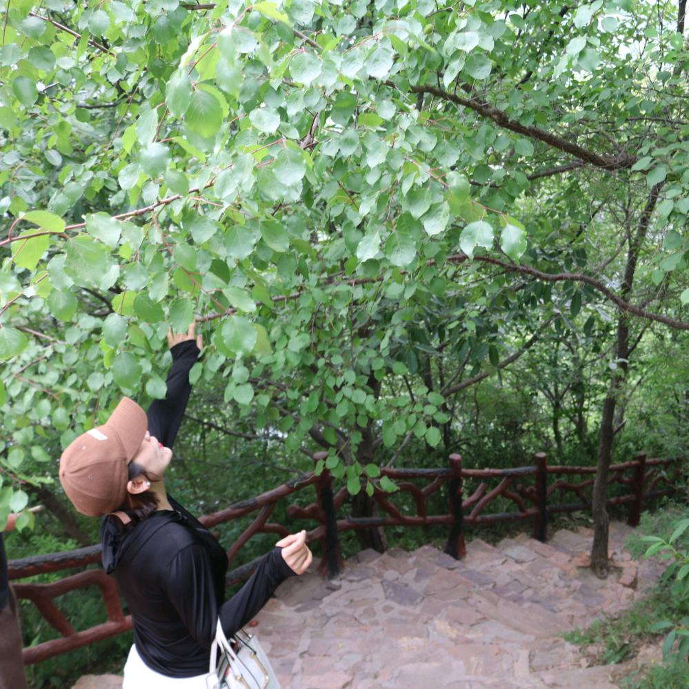 允宝儿|招团队/带货