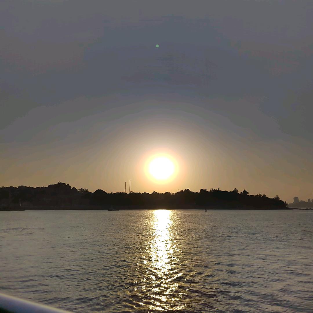 卡夫卡的熊丢了