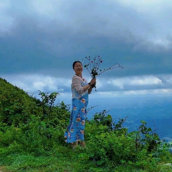 潇湘雨荷