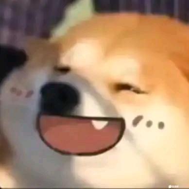 遇见你