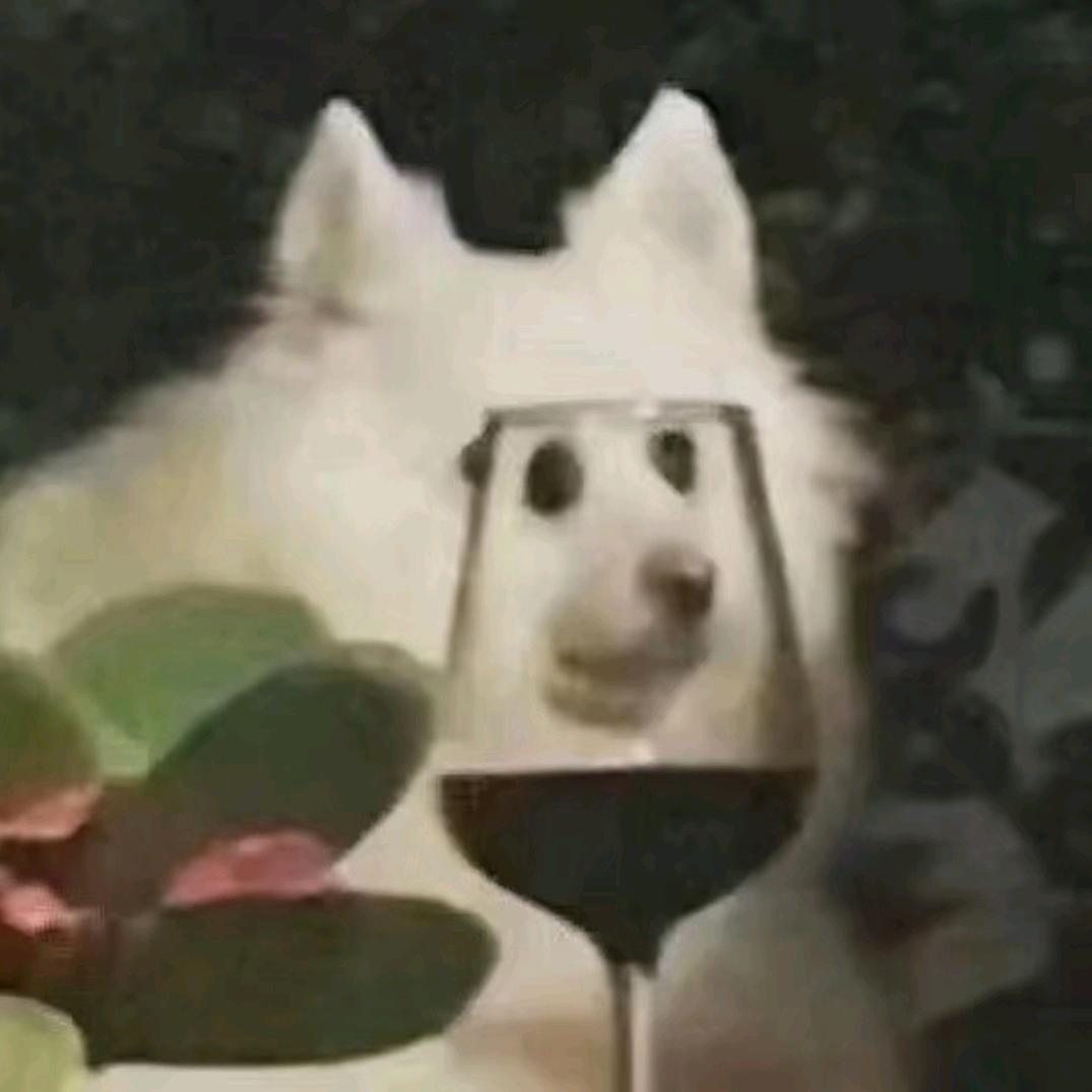 维多利亚港驶不出去的船